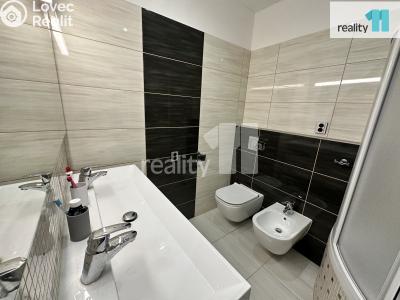 Prodej komerční nemovitosti Česká Lípa, Sokolská 287 č. 49