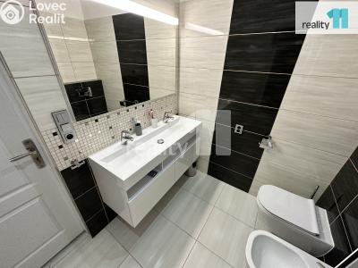 Prodej komerční nemovitosti Česká Lípa, Sokolská 287 č. 50