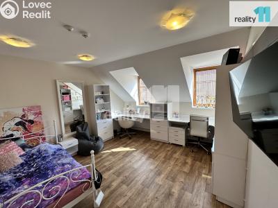 Prodej komerční nemovitosti Česká Lípa, Sokolská 287 č. 33