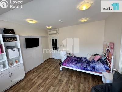 Prodej komerční nemovitosti Česká Lípa, Sokolská 287 č. 34