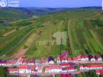 Prodej komerční nemovitosti Bořetice č. 29