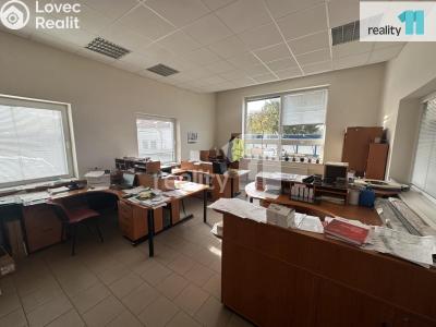 Pronájem skladového prostoru Humpolec, Hrdličkova 794 č. 8