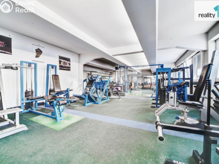 Prodej komerční nemovitosti Napajedla, 2. května 685 č. 4