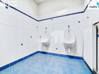 Prodej komerční nemovitosti Napajedla, 2. května 685 č. 18