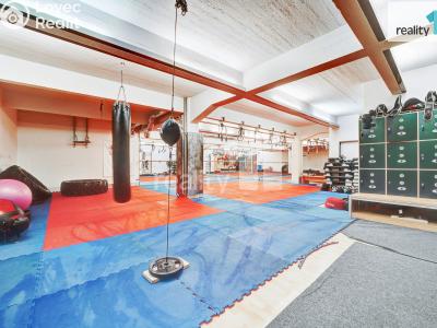 Prodej komerční nemovitosti Napajedla, 2. května 685 č. 6