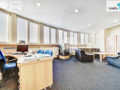 Prodej komerční nemovitosti Napajedla, 2. května 685 č. 14