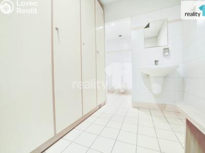 Prodej komerční nemovitosti Napajedla, 2. května 685 č. 17