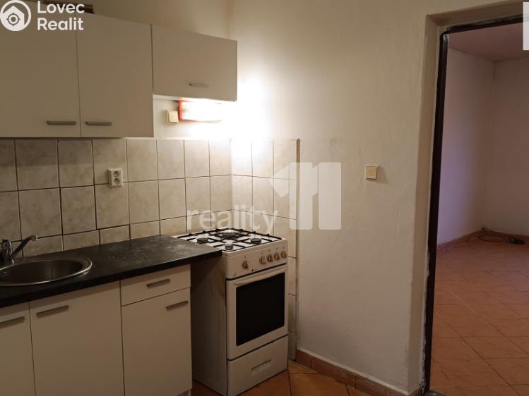 Pronájem bytu 1+1 Nový Bor č. 4