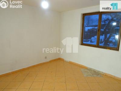 Pronájem bytu 1+1 Nový Bor č. 11