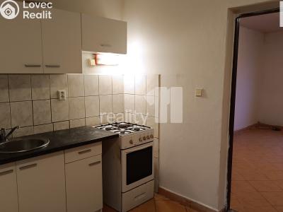 Pronájem bytu 1+1 Nový Bor č. 4