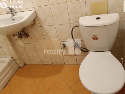 Pronájem bytu 1+1 Nový Bor č. 12