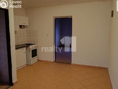 Pronájem bytu 1+1 Nový Bor č. 16