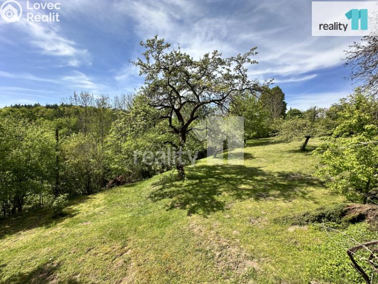 Prodej chaty Medonosy č. 3