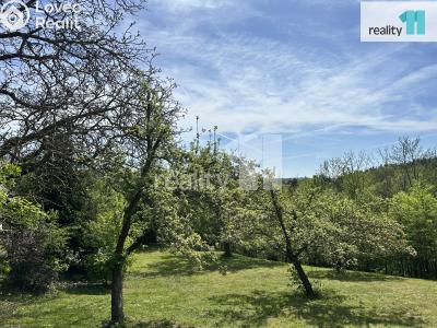 Prodej chaty Medonosy č. 20