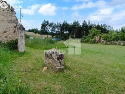 Prodej stavebního pozemku Dubá č. 10