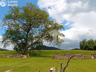 Prodej stavebního pozemku Dubá č. 13