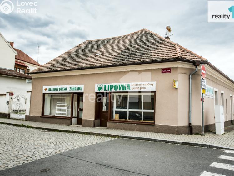 Prodej obchodního prostoru Dobřany, Lipová 395 č. 2