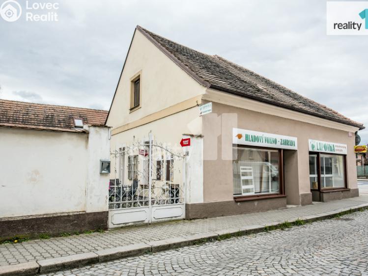 Prodej obchodního prostoru Dobřany, Lipová 395 č. 3