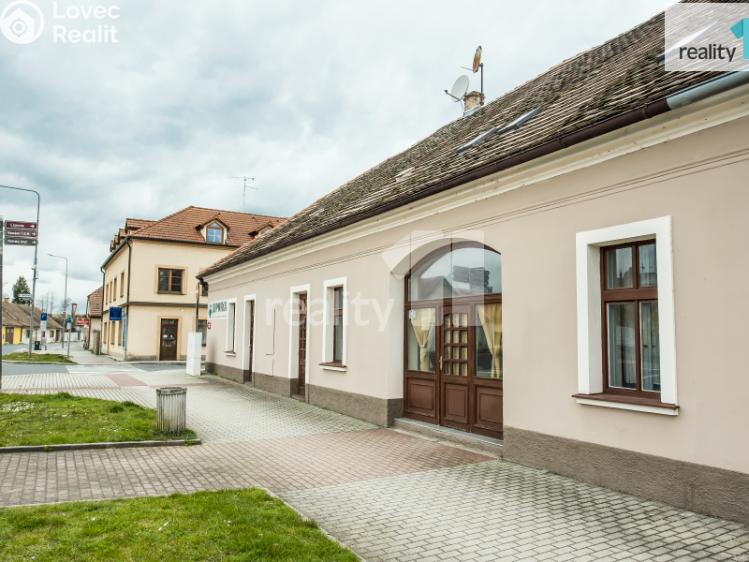 Prodej obchodního prostoru Dobřany, Lipová 395 č. 5