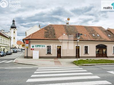 Prodej obchodního prostoru Dobřany, Lipová 395 č. 1