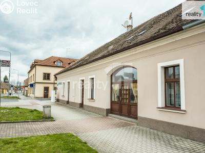 Prodej obchodního prostoru Dobřany, Lipová 395 č. 5