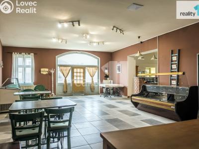 Prodej obchodního prostoru Dobřany, Lipová 395 č. 6