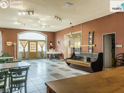 Prodej obchodního prostoru Dobřany, Lipová 395 č. 7