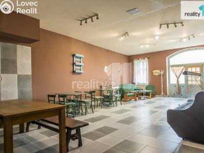 Prodej obchodního prostoru Dobřany, Lipová 395 č. 8