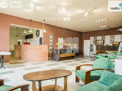 Prodej obchodního prostoru Dobřany, Lipová 395 č. 9