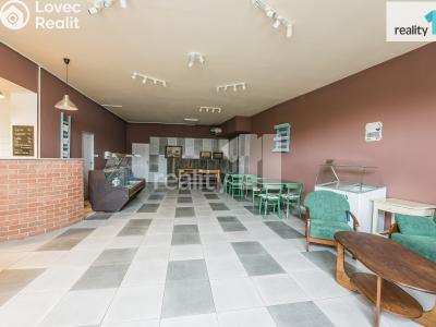 Prodej obchodního prostoru Dobřany, Lipová 395 č. 12