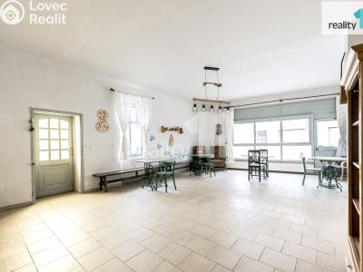 Prodej obchodního prostoru Dobřany, Lipová 395 č. 13