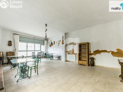 Prodej obchodního prostoru Dobřany, Lipová 395 č. 14