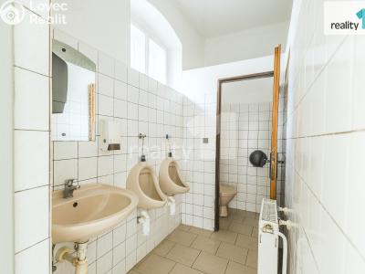 Prodej obchodního prostoru Dobřany, Lipová 395 č. 19