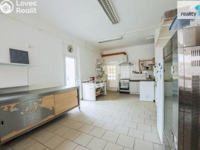 Prodej obchodního prostoru Dobřany, Lipová 395 č. 22