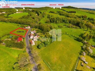 Prodej stavebního pozemku Stružná č. 1