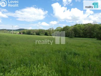 Prodej stavebního pozemku Stružná č. 10