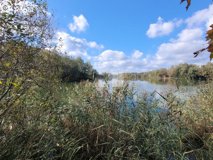 Prodej komerčního pozemku Čeperka č. 1