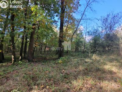 Prodej komerčního pozemku Čeperka č. 7