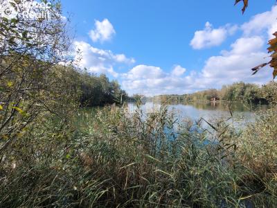 Prodej komerčního pozemku Čeperka č. 1