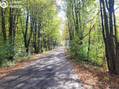 Prodej komerčního pozemku Čeperka č. 9