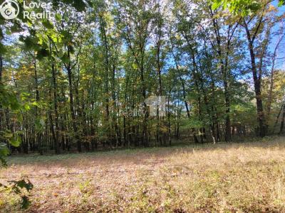 Prodej komerčního pozemku Čeperka č. 8