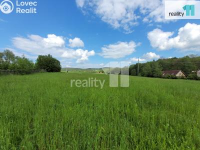 Prodej stavebního pozemku Stružná č. 6