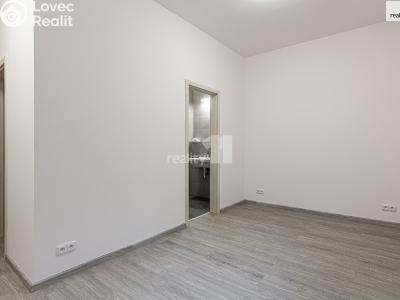 Pronájem bytu 3+KK Praha, V Holešovičkách č. 4