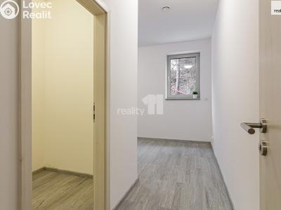 Pronájem bytu 3+KK Praha, V Holešovičkách č. 5