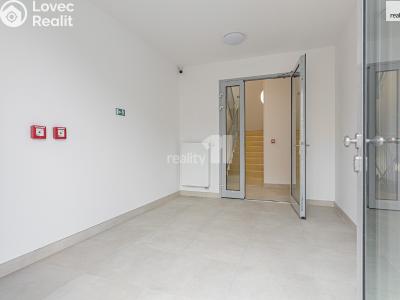 Pronájem bytu 3+KK Praha, V Holešovičkách č. 12