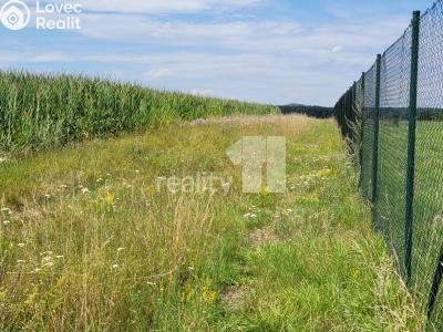 Prodej stavebního pozemku Čížová č. 5