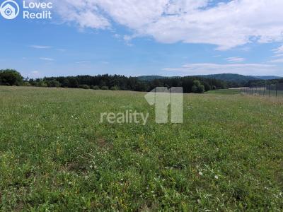 Prodej stavebního pozemku Čížová č. 13