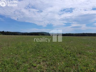 Prodej stavebního pozemku Čížová č. 17