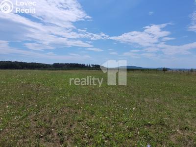 Prodej stavebního pozemku Čížová č. 18