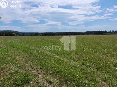 Prodej stavebního pozemku Čížová č. 21